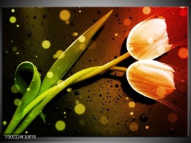 Glas schilderij Tulp | Oranje, Groen, Rood