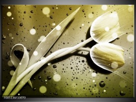 Foto canvas schilderij Tulp | Grijs, Wit