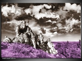 Foto canvas schilderij Natuur | Paars, Grijs