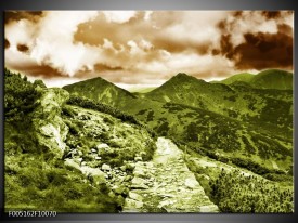 Foto canvas schilderij Natuur | Groen, Bruin