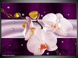 Foto canvas schilderij Orchidee | Paars, Wit, Grijs