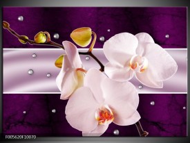 Glas schilderij Orchidee | Paars, Wit, Grijs