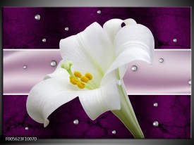 Foto canvas schilderij Bloem | Paars, Wit, Grijs