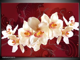 Glas schilderij Orchidee | Rood, Wit, Crème
