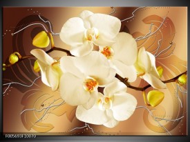 Glas schilderij Orchidee | Bruin, Crème