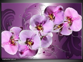 Glas schilderij Orchidee | Paars