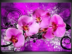 Glas schilderij Orchidee | Paars