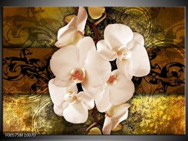 Glas schilderij Orchidee | Bruin, Goud, Crème