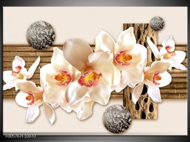 Foto canvas schilderij Orchidee | Creme, Bruin