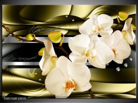 Glas schilderij Orchidee | Groen, Crème