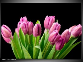 Glas schilderij Tulpen | Roze, Zwart, Groen