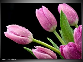 Foto canvas schilderij Tulpen | Roze, Zwart, Groen