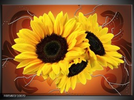 Foto canvas schilderij Zonnebloem | Geel, Bruin