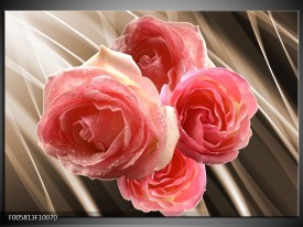 Glas schilderij Roos | Sepia, Roze