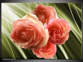 Foto canvas schilderij Roos | Roze, Groen