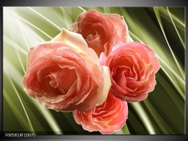 Glas schilderij Roos | Roze, Groen