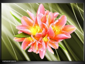 Foto canvas schilderij Modern | Groen, Roze, Geel