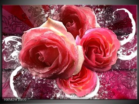 Glas schilderij Roos | Roze, Paars, Wit