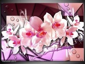 Glas schilderij Orchidee | Paars, Roze, Wit