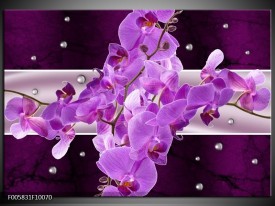 Glas schilderij Orchidee | Paars