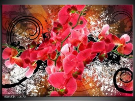 Foto canvas schilderij Orchidee | Roze, Rood,