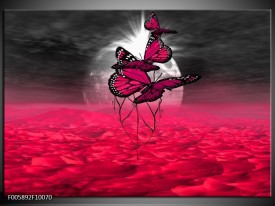 Foto canvas schilderij Vlinder | Roze, Paars, Grijs