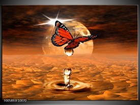 Glas schilderij Vlinder | Bruin, Goud