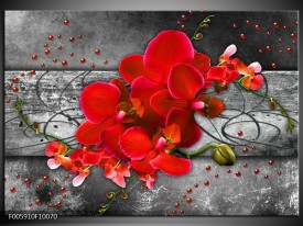 Glas schilderij Orchidee | Rood, Grijs