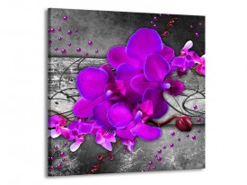Glas schilderij Orchidee | Paars, Grijs | 70x70cm 1Luik