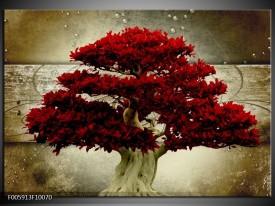 Foto canvas schilderij Boom | Rood, Bruin