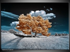 Foto canvas schilderij Boom | Goud, Grijs, Blauw