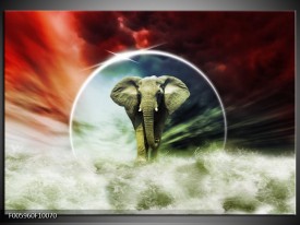 Foto canvas schilderij Olifant | Rood, Blauw, Wit