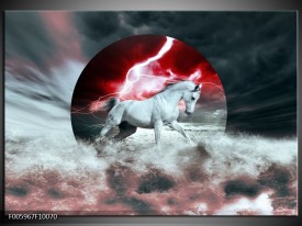 Glas schilderij Paard | Rood, Grijs, Wit