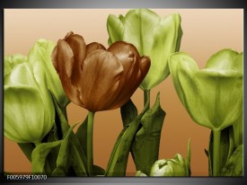 Glas schilderij Tulp | Groen, Bruin, Wit