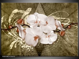 Glas schilderij Orchidee | Goud, Wit, Bruin