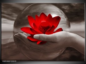 Glas schilderij Bloem | Rood, Sepia, Grijs