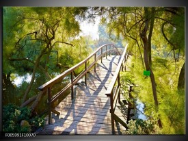 Foto canvas schilderij Brug | Groen