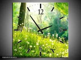 Wandklok op Glas Natuur | Kleur: Groen | F005997CGD