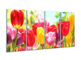 Glas schilderij Tulpen | Rood, Geel, Paars | 160x80cm 4Luik