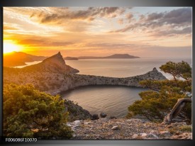 Foto canvas schilderij Natuur | Geel, Bruin, Grijs