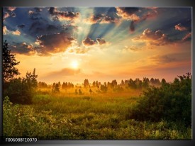 Glas schilderij Natuur | Bruin, Groen