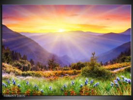 Foto canvas schilderij Natuur | Geel, Groen, Oranje