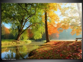 Glas schilderij Herfst | Oranje, Bruin, Groen
