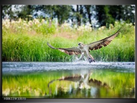 Foto canvas schilderij Natuur | Groen, Grijs