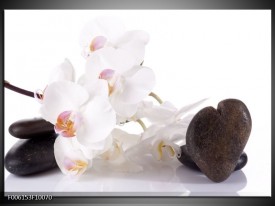 Foto canvas schilderij Orchidee | Wit, Zwart