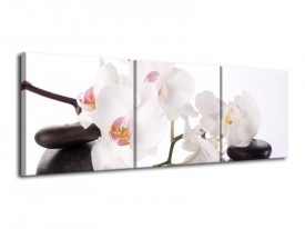 Canvas schilderij Orchidee | Wit, Zwart | 120x40cm 3Luik