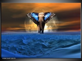 Foto canvas schilderij Olifant | Blauw, Bruin