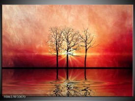 Foto canvas schilderij Abstract | Rood, Geel