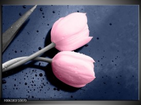Glas schilderij Tulpen | Roze, Grijs