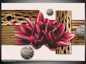 Foto canvas schilderij Modern | Bruin, Rood, Creme